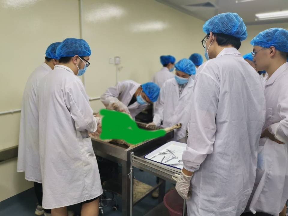 28e5b3a6684042eb9f8d9984cf58521d.jpg 28e5b3a6684042eb9f8d9984cf58521d.jpg