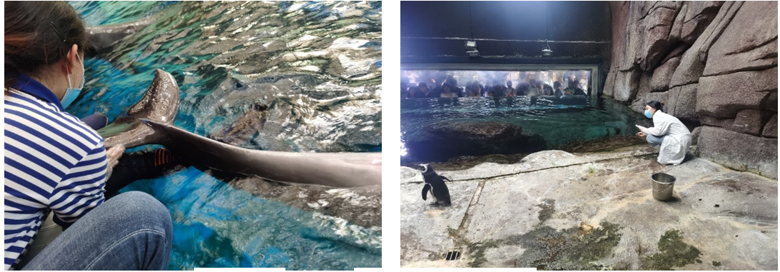 5070e6a97bac41629d676586d8d643b8.png 5070e6a97bac41629d676586d8d643b8.png