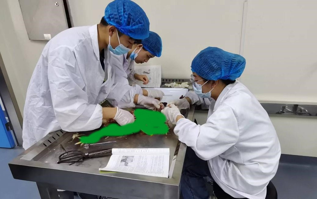 bd00742bf59d4ec89dfbaabe703d10f7.jpg bd00742bf59d4ec89dfbaabe703d10f7.jpg