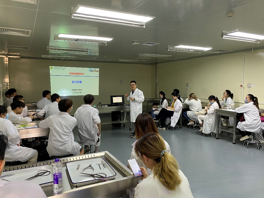 c1cf40f8575c4021aed44e7f517237b7.jpg c1cf40f8575c4021aed44e7f517237b7.jpg