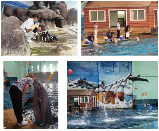 d6fa1169c27e4d438378e5b6bd63b341.png d6fa1169c27e4d438378e5b6bd63b341.png