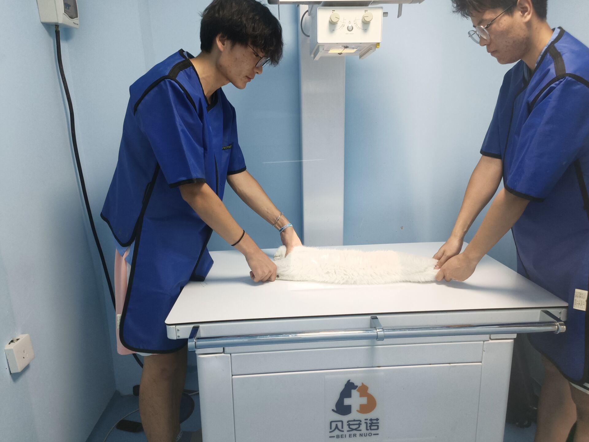 330291d5066741d3ab8fb485dd208077.jpg 330291d5066741d3ab8fb485dd208077.jpg