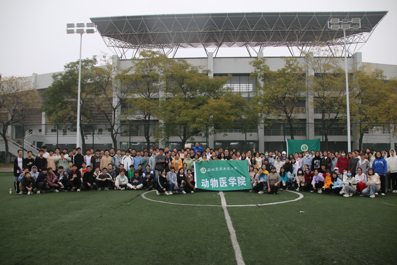 c5ea14cfdc4440deae4929f9efb20145.png c5ea14cfdc4440deae4929f9efb20145.png