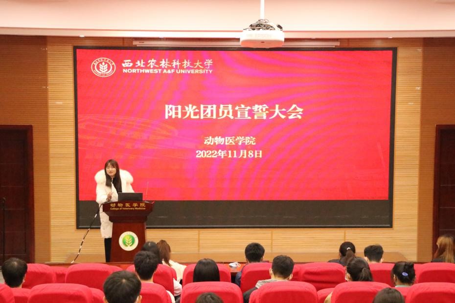 af5115e5a3c441cbaf94354d7649da13.jpg af5115e5a3c441cbaf94354d7649da13.jpg